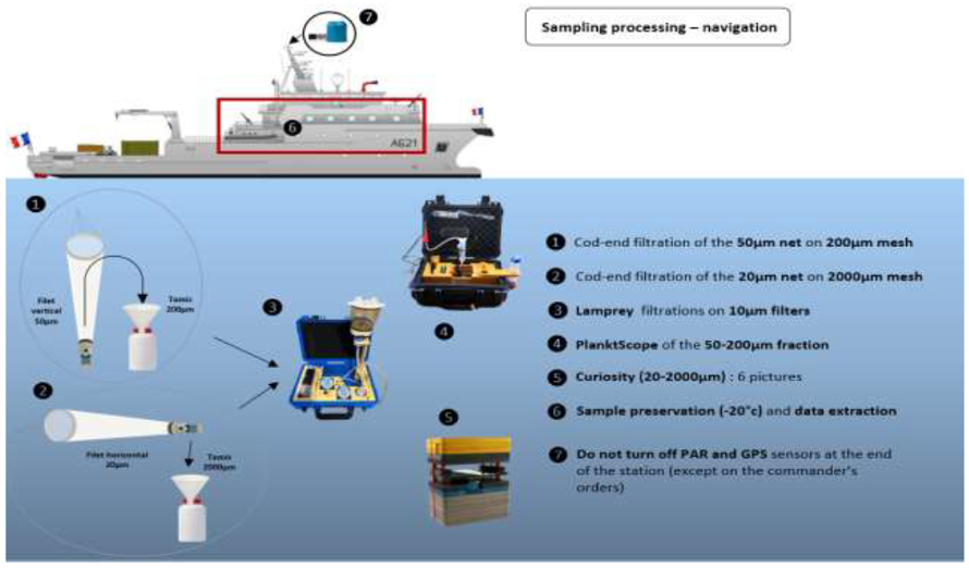 Figure 2. Traitement des échantillons. Séquence des analyses à effectuer sur les échantillons de plancton frais une fois que le navire a repris la mer. Au total, le prélèvement et l'analyse des échantillons prennent environ 3 heures.