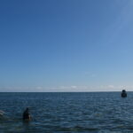 Hommage à la stèle de Huon de Kermadec, second de l'expédition d'Entrecasteaux mort en Nouvelle-Calédonie