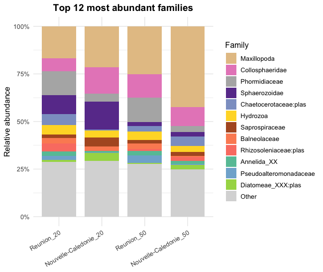 Figure 2 : Les 12 familles les plus abondantes dans les échantillons en fonction du site et de la fraction de taille