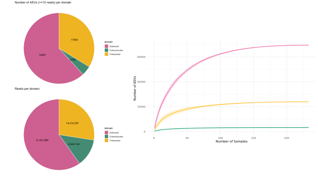 Figure 5 : Répartition du nombre d’ASV et de reads par domaine. Nombre d’ASV détectées en fonction du nombre d’échantillons prélevés